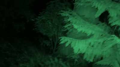 But I think whatever's in here, - Spooked Scotland