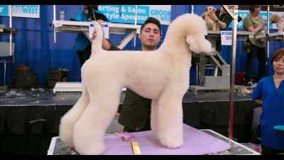 But I think, with difficulty factor,
Blake has it, - Dogs