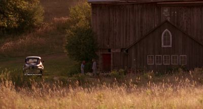 But I thought you liked the geese - Fly Away Home