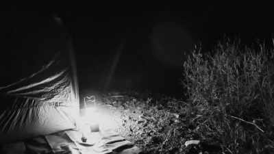 But when I went to go look
and check it out, - Expedition Bigfoot
