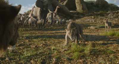But I won't ever - Mufasa: The Lion King
