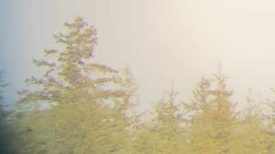 But I'm a long ways away
from this tree line - Expedition Bigfoot