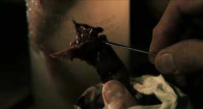 But I'm not greedy,
I stick to the tips. - Where the Devil Roams