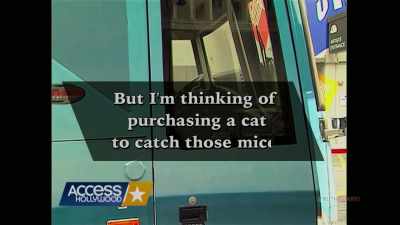 But I'm thinking
of purchasing a cat - Who Is America?