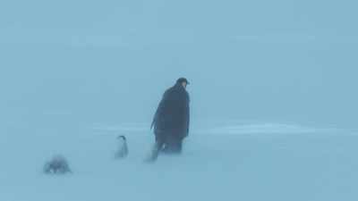 But in a blizzard, that is a bad idea. - Dynasties