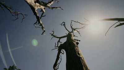 But in an increasingly warming world, - Super/Natural