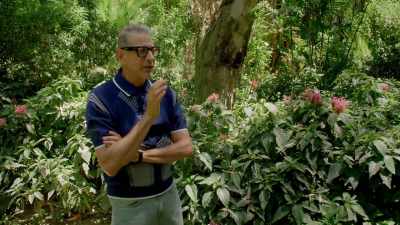 But in any case, play
and games and technology, - The World According to Jeff Goldblum