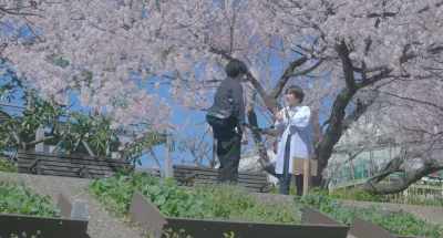 But in ninth grade,
Ayano, who is my - Love Like the Falling Petals