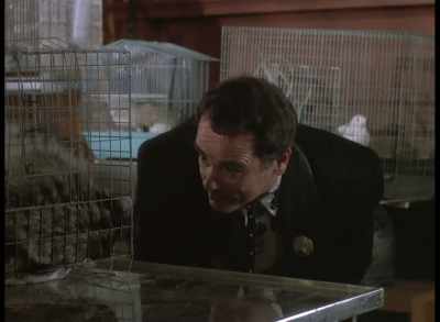 But in order for me to narrow
down my search parameters, - Quantum Leap