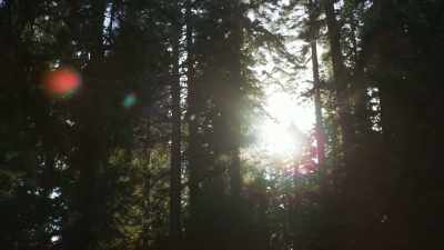 But in our changing world, - The Green Planet