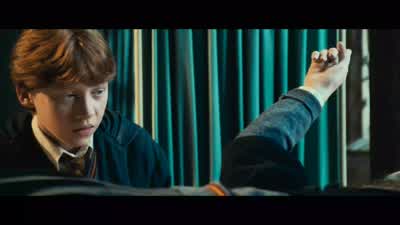 ...but in real life, it was completely unsanitary. - Harry Potter and the Chamber of Secrets