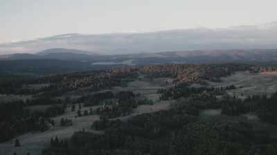 But in his sense,
what we understand, - Missing 411: The Hunted