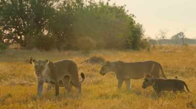 But in the Delta, change can come suddenly - Surviving Paradise: A Family Tale