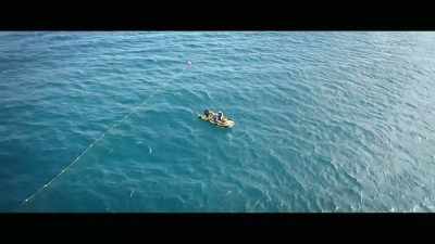 But instead, they really
doubled down on their position, - Envoy: Shark Cull