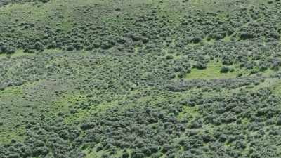 But this is a game
quad-mom has played before. - Epic Yellowstone