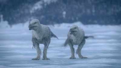 But this is an island, - Prehistoric Planet