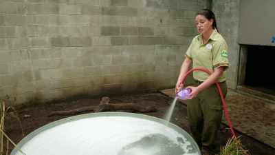 But this is just a little bit
something different in their day - Magic of Disney's Animal Kingdom