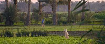 But this is the Egypt
where Wahtye lived… - Secrets of the Saqqara Tomb