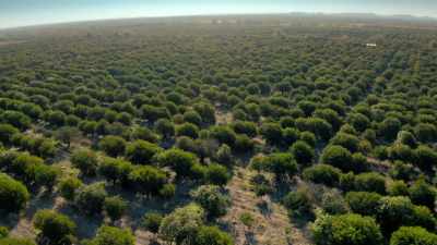 - But it was a former orchard
manager from California - Eva Longoria: Searching for Mexico