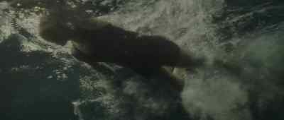 But when it came time
for the second, - Young Woman and the Sea