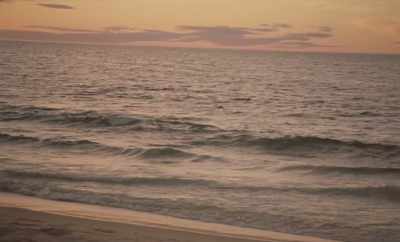 But as it decomposes, - Geographies of Solitude