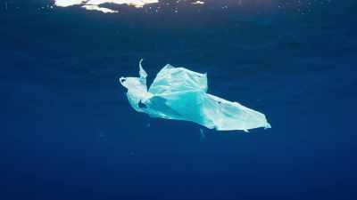 But it has even more widespread
and far-reaching consequences. - Blue Planet II