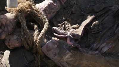 But it was obvious
that this was a White male. - Buried In The Backyard