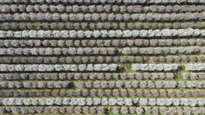 But is it possible, even in our most
extreme monocultures, - The Green Planet