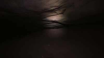 But... It was something. - On the Trail of UFOs: Dark Sky