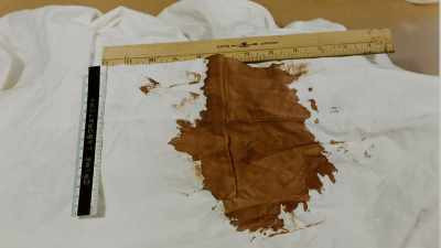 But it was too much blood. - Ted Bundy: Falling for a Killer