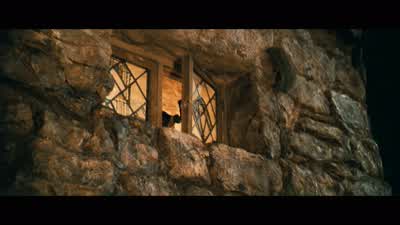 But it was interesting that he-- We just darkened his beard... - Harry Potter and the Chamber of Secrets