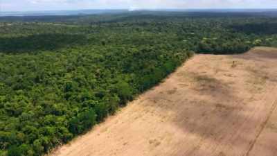 BUT IT'S A COMPLICATED
SITUATION. - Lost Cities of the Amazon