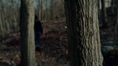 BUT IT'S A VERY
CONFLICTED PROCESS. - Evil Lives Here: Shadows Of Death
