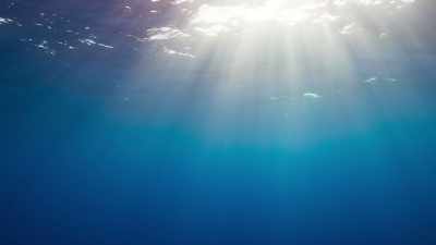 But it's this emptiness - Blue Planet II