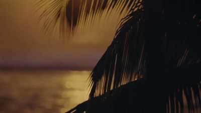 # But it's just a dream.
It's all in my head. # - FBOY Island NZ