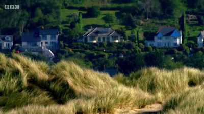But it's not just humans
seeking relief from the sun. - Wales: Land of the Wild