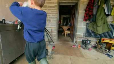 ...but it's not the only
unlucky foundling - Our Yorkshire Farm