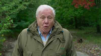 But it's now becoming apparent
that it's not all doom and gloom. - David Attenborough: A Life on Our Planet