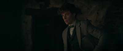 But if it's of any comfort, - Fantastic Beasts: The Secrets of Dumbledore