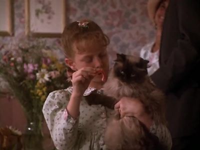 But it's shrimp - Homeward Bound: The Incredible Journey