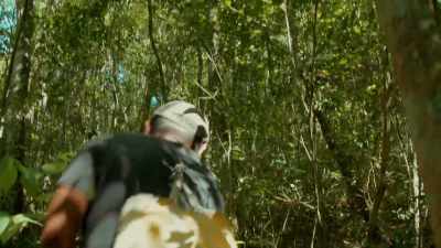 But it's the very first
time with the new treasure map. - Lost Treasures of the Maya