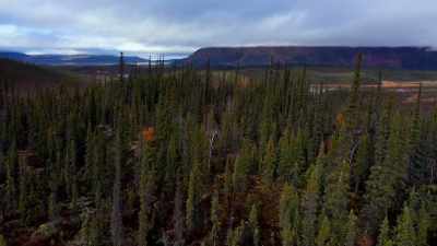 But I've actually
never hunted out here in
Alaska for large game. - Life Below Zero: Next Generation