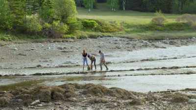 But I've also spotted something
at Adam's oyster farm - Restaurants at the End of the World