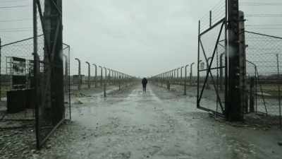 But I've never seen them again,
never said goodbye to them. - The Accountant of Auschwitz