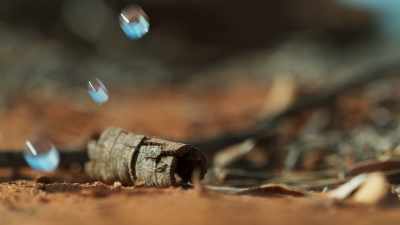 But just sometimes, - Seven Worlds, One Planet