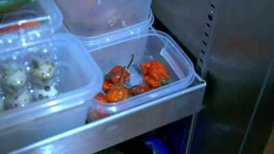 But it kind of makes sense now, - Below Deck Down Under