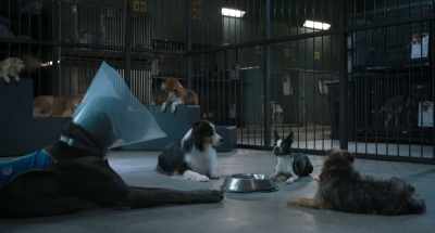 But, you know, she's six, and I
don't know where she lives now, - Strays