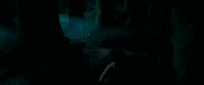But know this: The ones that love us never really leave us. - Harry Potter and the Prisoner of Azkaban