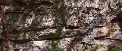 But Kurt said there was evidence within the rocks. - Is Genesis History?