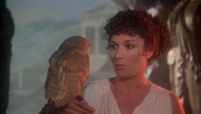 But l will never part with you my beloved Bubo Bubo - Clash of the Titans